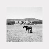 Dan Michaelson & The Coastguards - Sheets - 