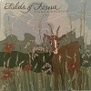 Furnace Mountain - Fields of Fescue - 