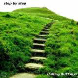 Shifting Buffalo - Step By Step - 