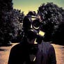 Steve Wilson - Insurgentes - 