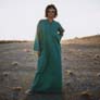 The Polyphonic Spree - Tim DeLaughter - 