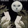 Wojtek Godzisz - The Moon And The Yew Tree - 
