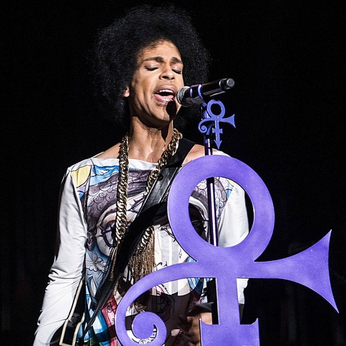 Prince's Paisley Park opening delayed