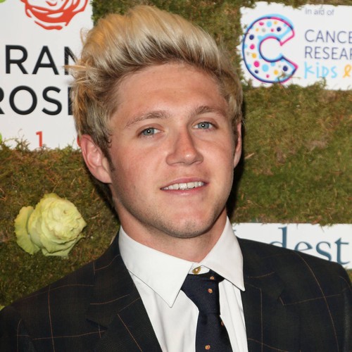 Niall Horan: 'One Direction could reunite in the near future'