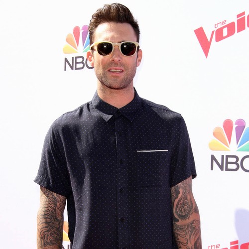 Adam Levine centre of bogus domestic violence and child abuse accusations - report