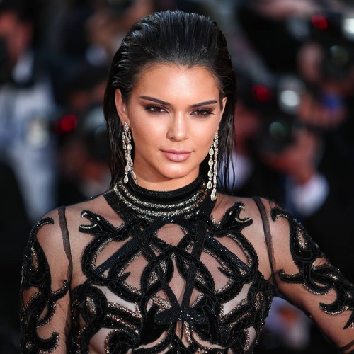 Kendall Jenner turns 21 with Harry Styles and Jordan Clarkson