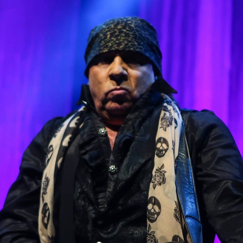 Steven Van Zandt attacks Hamilton stars for taking aim at audience member Mike Pence