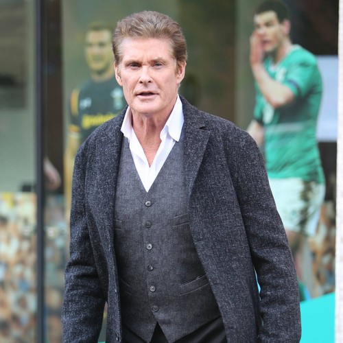 David Hasselhoff defends Justin Bieber for punching fan