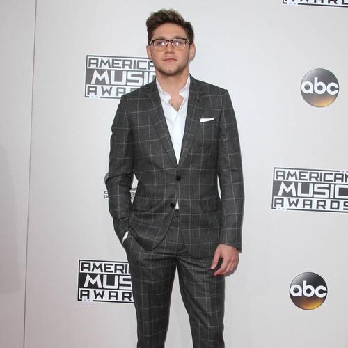 Niall Horan taking winter break to work on debut solo album