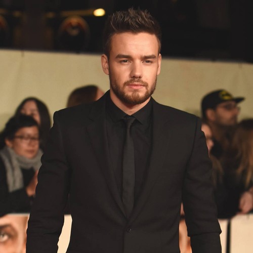 Liam Payne treats hospitalised children to Christmas presents