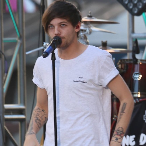 Louis Tomlinson contacted Steve Aoki after Calvin Harris gig cancellation