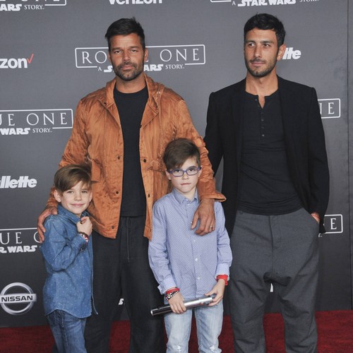 Ricky Martin met his artist fiance on social media