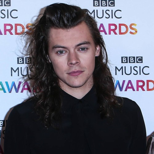 Harry Styles laughs off Han Solo audition rumours