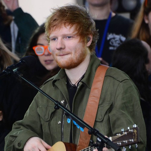 Ed Sheeran plays personal gig for ill superfan