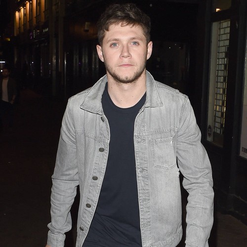 Niall Horan dials 'daddy' Don Henley for career advice