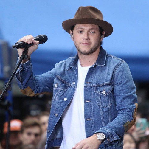 Niall Horan didn't hesitate to join Ariana Grande's benefit line-up