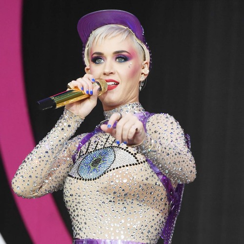Katy Perry 'wasn't in the mood' for naked paddleboarding
