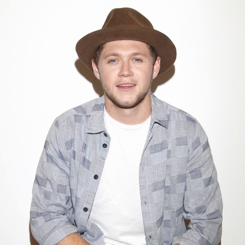 Niall Horan tells Katy Perry to stop being mean