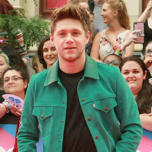 Niall Horan not inspired to follow Harry Styles into acting