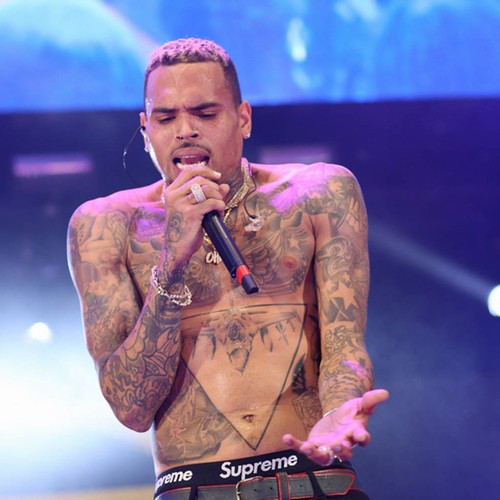 Chris Brown blasted by Rihanna's fans after commenting on ex's sexy picture