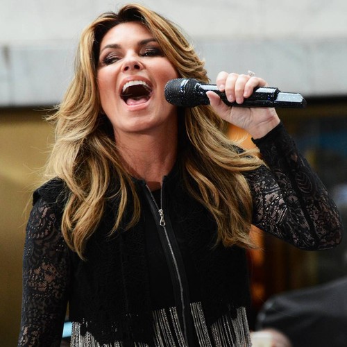 Shania Twain wants to duet with Celine Dion