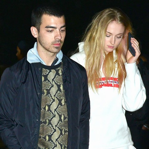 Joe Jonas and Sophie Turner adopt a puppy