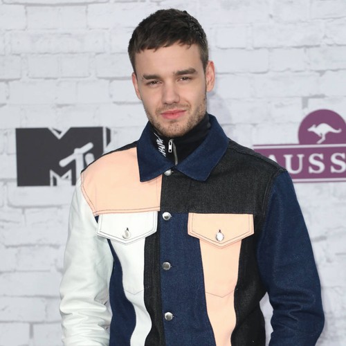 Liam Payne 'ready for baby number two'