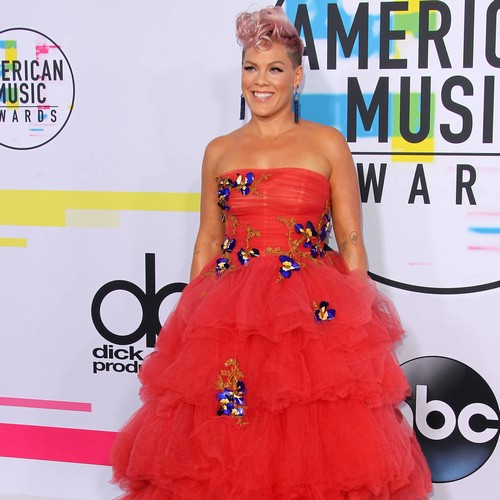 Pink raising her children as gender-neutral