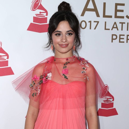 Label bosses weren't convinced Camila Cabello's Havana was a hit