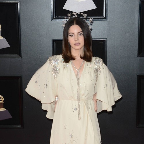 Lana Del Rey reassures fans she's 'fine' after alleged kidnapping drama