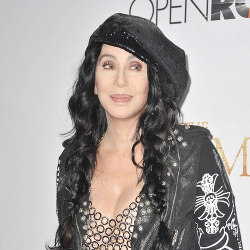 Panic alarm prompts police to race to Cher's estate
