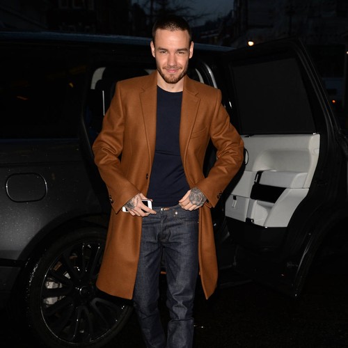 Liam Payne 'eases girlfriend Cheryl's work security fears'