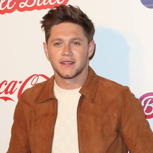 Niall Horan and Hailee Steinfeld are 'completely infatuated'