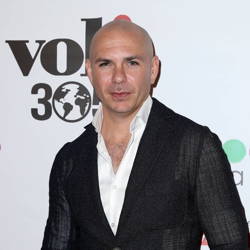 Pitbull misses United Nations speech because of snowstorm