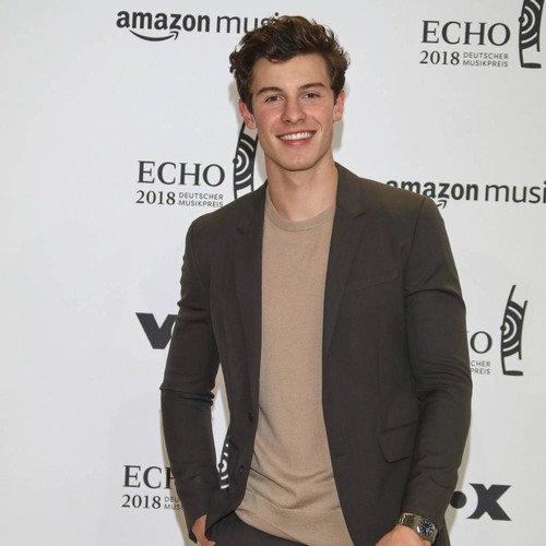 Shawn Mendes lost his nerve before Meghan Markle meeting