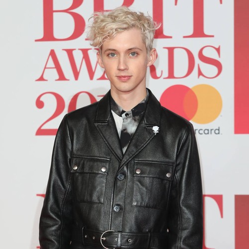 Troye Sivan's Taylor Swift duet was 'dream come true'