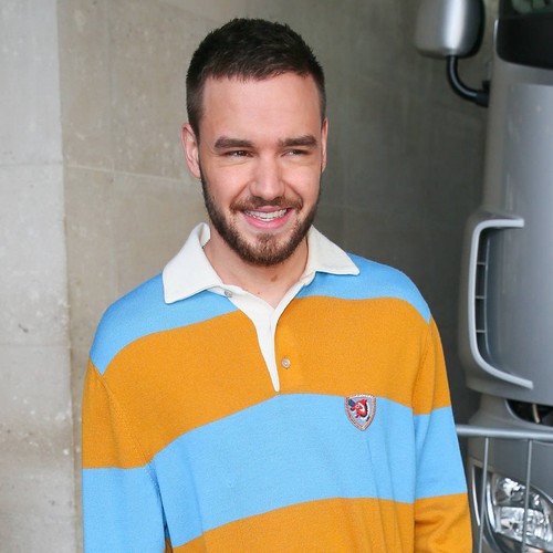 Liam Payne ‘urges Cheryl to consider getting a nanny’