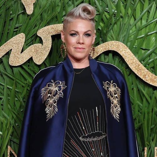 Pink challenges SeaWorld bosses to create sanctuaries for captive orcas
