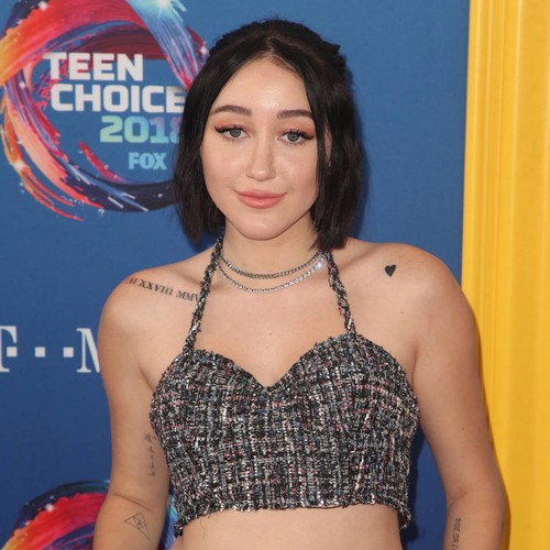 Noah Cyrus tackles anxiety and depression battle on new album