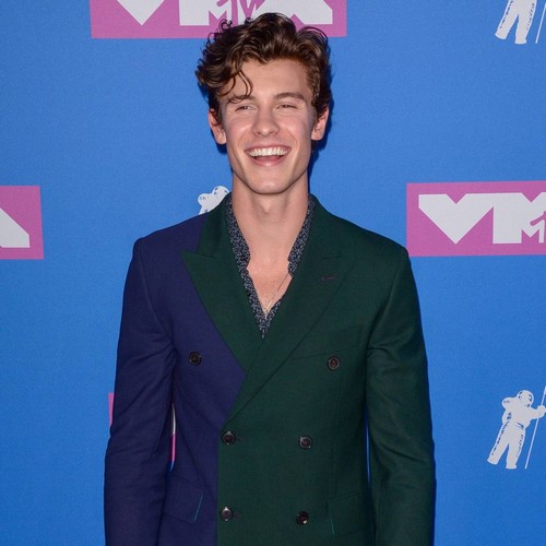 Shawn Mendes: 'I'm not in love and I don't want to be right now'