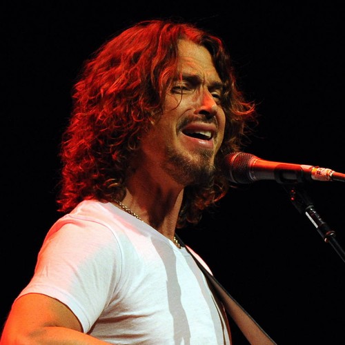 Soundgarden hoping to continue without Chris Cornell