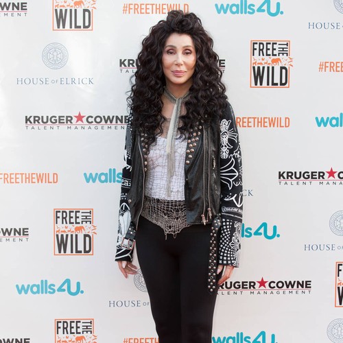 Cher: 'I'll retire when I can't perform anymore'