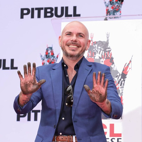 Pitbull sets goal to teach 20,000 kids in 2019