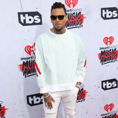 Chris Brown launches defamation lawsuit against rape accuser