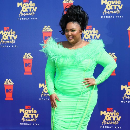 Lizzo fan launches petition campaign for The Little Mermaid dream role