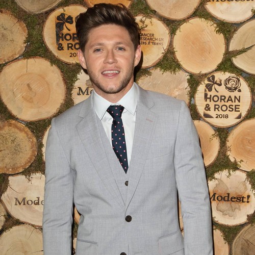 Niall Horan teases fans over 'fun' new album