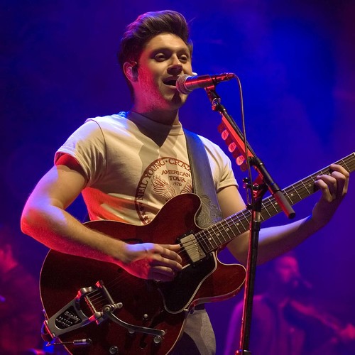 Niall Horan turned to Adele producer for new breakup track