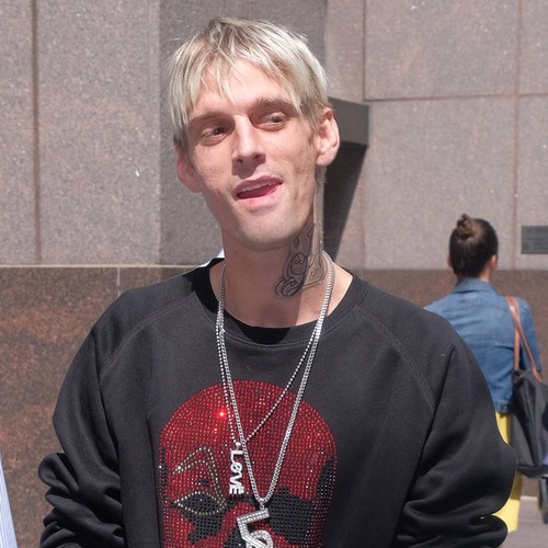 Aaron Carter sells off gun collection following restraining orders