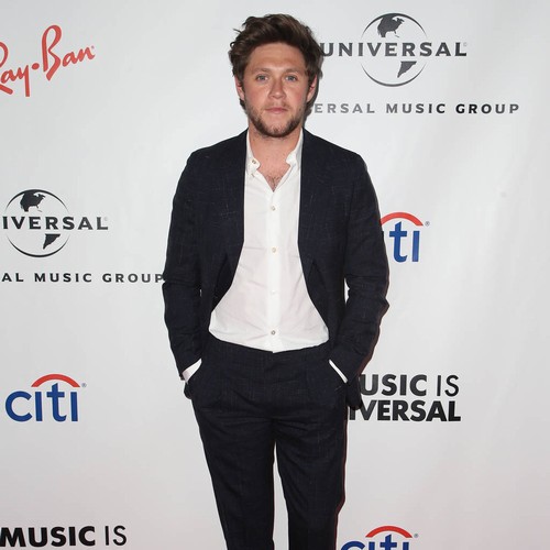 Niall Horan: 'One Direction stars were close to killing each other before hiatus'