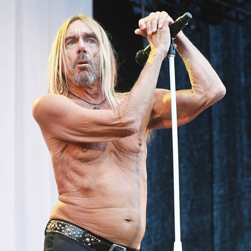 Iggy Pop once planned political career